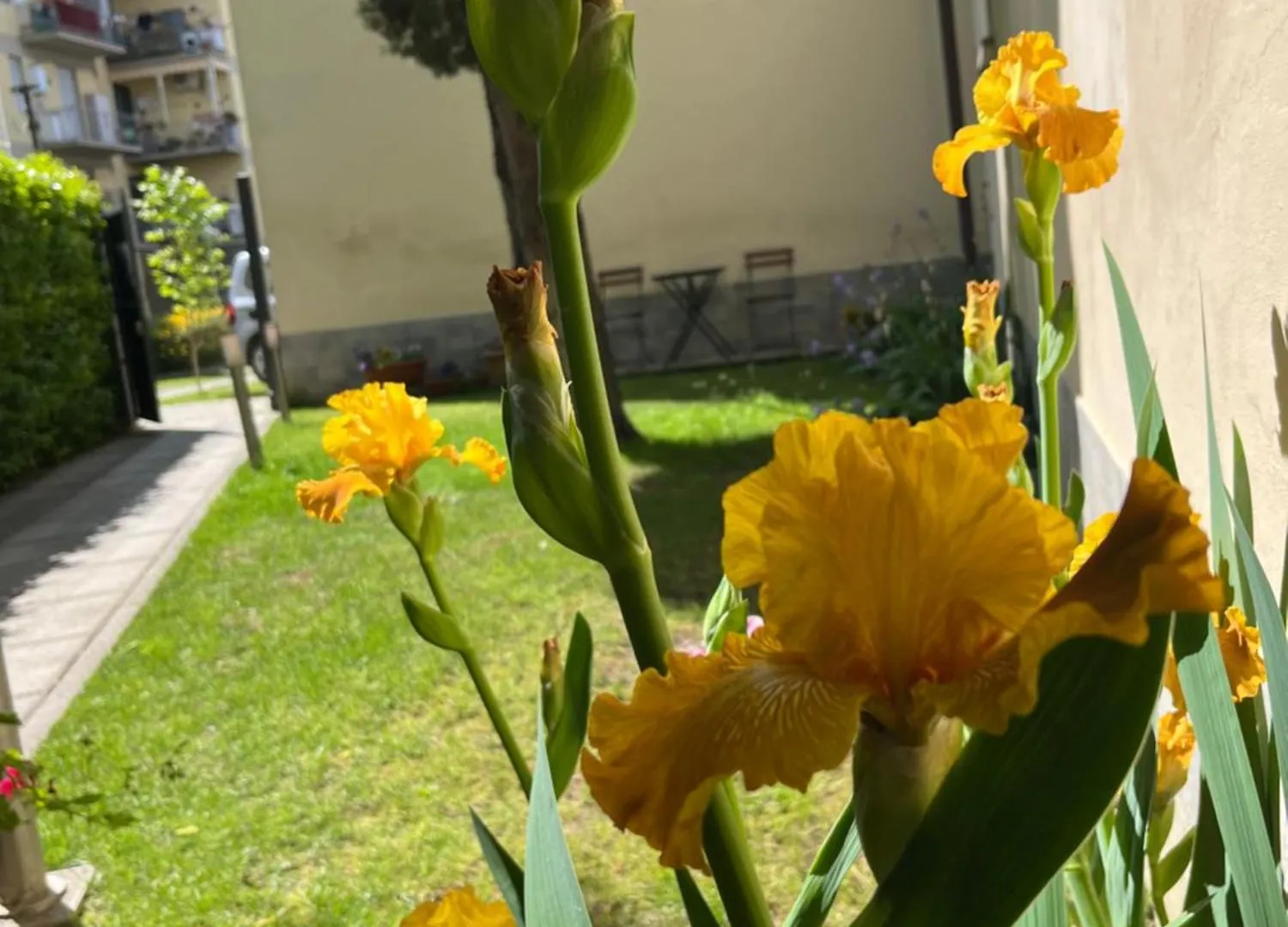 Dalu Florence Apartment Lucilla - Private Car Park 15 Minutes To The City Center 이탈리아